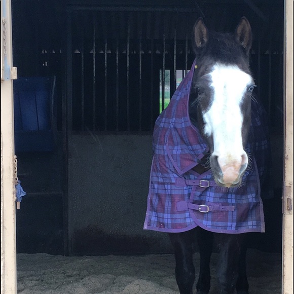 Currently on break from poshmark 🙄👍🏻 - Picture 3 of 8